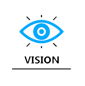 vision image